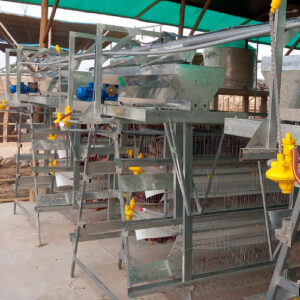 Sistema piramidal tipo A de 3 y 4 niveles